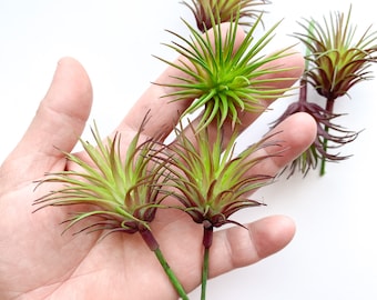 3 Artificial Succulent Air Plants in Purple and Green - Fake succulents - Airplants - Tillandsia - Life Plant - ITEM 01575