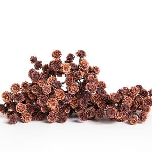 9 Bunches Brown Baby&#39;s Breath Gypsophila Filler, baby&#39;s breath filler -Wreath Filler, Crown Filler, Arrangement Filler - ITEM 1327