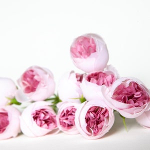 12 Mini Peonies in Two Tone Pink - Artificial Flowers, Fake Flowers, Pink Peony, Light Pink Peonies, Peony Buds - ITEM 1511