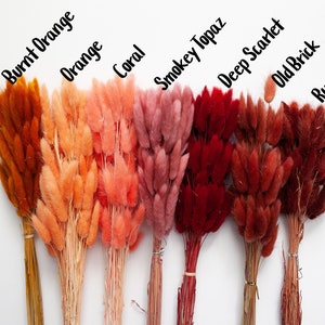 May include: Dried bunny tail grass in a variety of colors, including burnt orange, orange, coral, smokey topaz, deep scarlet, old brick, and rust.