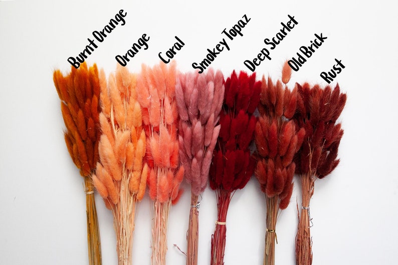 May include: Dried bunny tail grass in a variety of colors, including burnt orange, orange, coral, smokey topaz, deep scarlet, old brick, and rust.