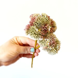 以下が含まれることがあります： 緑とピンクのグラデーションでできた、人工の花の頭が3つあるブーケ。花は小さな尖った花びらでできており、1本の茎につけられています。