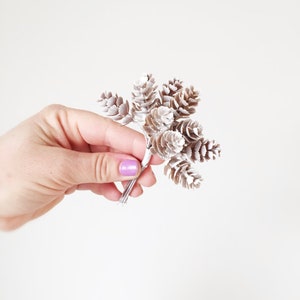 May include: A cluster of small, white-tipped pinecones on a silver wire stem. The pinecones have a textured appearance and are arranged in a compact, decorative bunch. The background is a plain, off-white color.