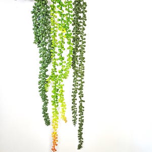 May include: Artificial hanging succulent plant with a gradient of green, yellow, and orange colours. The plant features small, round, bead-like leaves that cascade downwards. The plant is held by a hand against a white background.