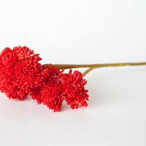 Fake Succulents - ONE Artificial Sedum Succulent Pick in Red - Succulent, Succulents, Artificial Flowers - ITEM 1589