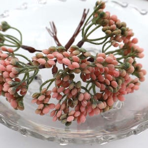 12 estambres de flores para coronas florales o arreglos florales caseros - ELIGE EL COLOR - Tallos de bayas imagen 7