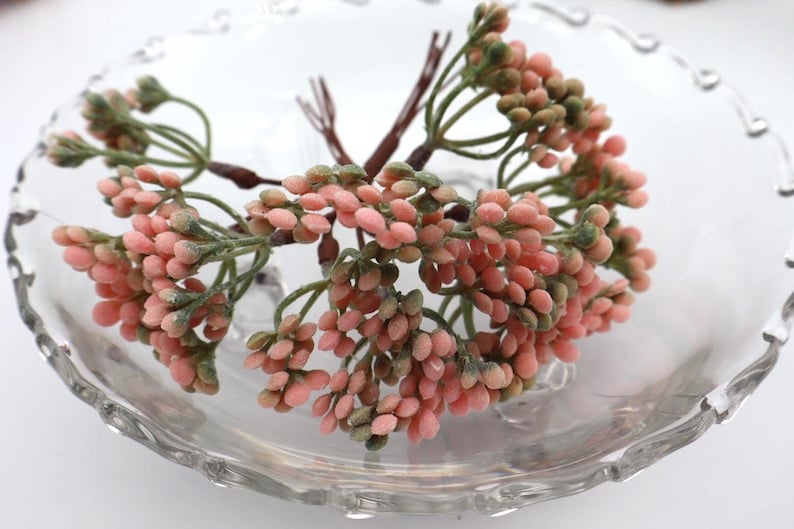 12 estambres de flores para coronas florales o arreglos florales caseros - ELIGE EL COLOR - Tallos de bayas imagen 7