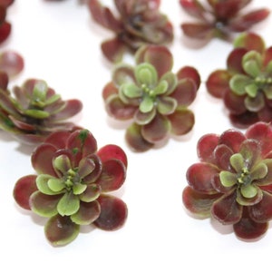Fake Succulents - 28 Artificial Mini Succulents in Green and Burgundy - Succulent, Succulents - ITEM 1632