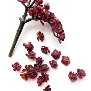 Fake succulents - Sedum Pick with 18 Artificial Mini Succulents in Burgundy - Succulent, Succulents, Artificial Flowers