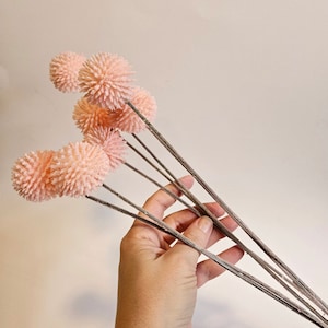 Op de afbeelding: Een bundel kunstmatige perzikroze bloemstelen. Elke steel heeft een cluster van ronde, getextureerde bloemen. De stelen zijn donkerbruin van kleur en lijken van natuurlijk materiaal te zijn gemaakt. De bloemen worden in een hand tegen een witte achtergrond gehouden.
