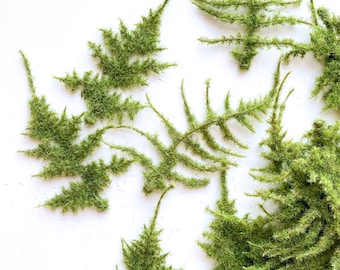 17 Mossy Lace Fern in Fresh Green - Artificial Fern Filler - ITEM 1550