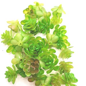 Fake Succulents - 30 Artificial Mini Succulents in Green -  Budget Quality