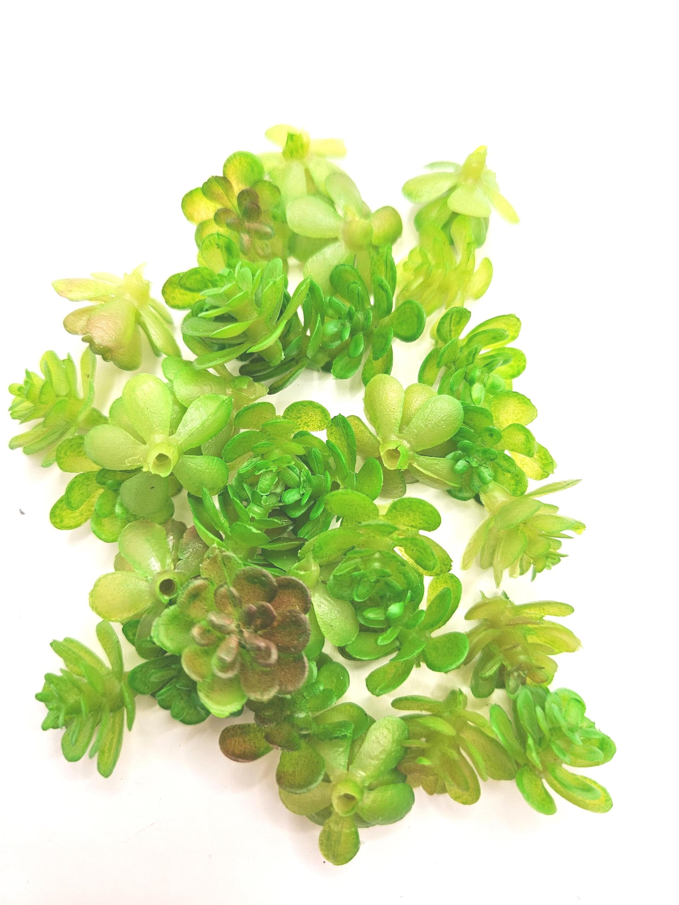 Mini Succulents Fake - Etsy