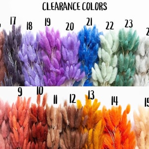 May include: A collection of dried pampas grass in various colors, including pink, orange, brown, purple, blue, green, and white. The grass is arranged in rows with numbers 8 through 24 labeling each color.