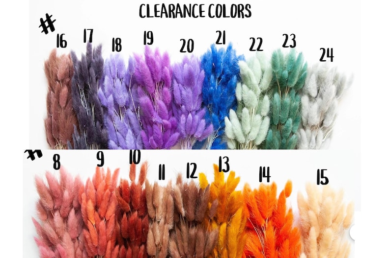 May include: A collection of dried pampas grass in various colors, including pink, orange, brown, purple, blue, green, and white. The grass is arranged in rows with numbers 8 through 24 labeling each color.