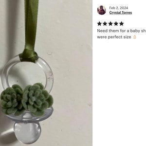 Plant Pacifiers Fake Succulents - 30 Flocked Mini Succulents in Green - Artificial ...