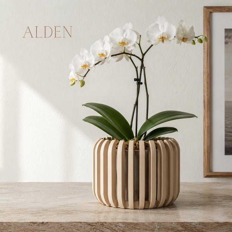 May include: A white orchid plant with green leaves in a beige, slatted wooden planter. The word "ALDEN" is printed in brown on the wall behind the plant. The plant is on a light-colored surface.