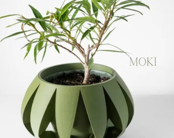 May include: A small green plant in a decorative, olive-green, geometric planter. The planter has a unique design with vertical cutouts. The plant has long, slender green leaves and a brown stem. The word "MOKI" is printed in a light color on the right side.