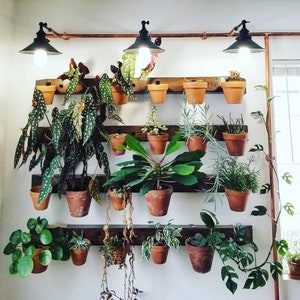 Może przedstawiać: Wisząca półka na rośliny z miedzianymi rurami i czarnymi lampami. Półka jest wypełniona różnymi roślinami w doniczkach z terakoty.