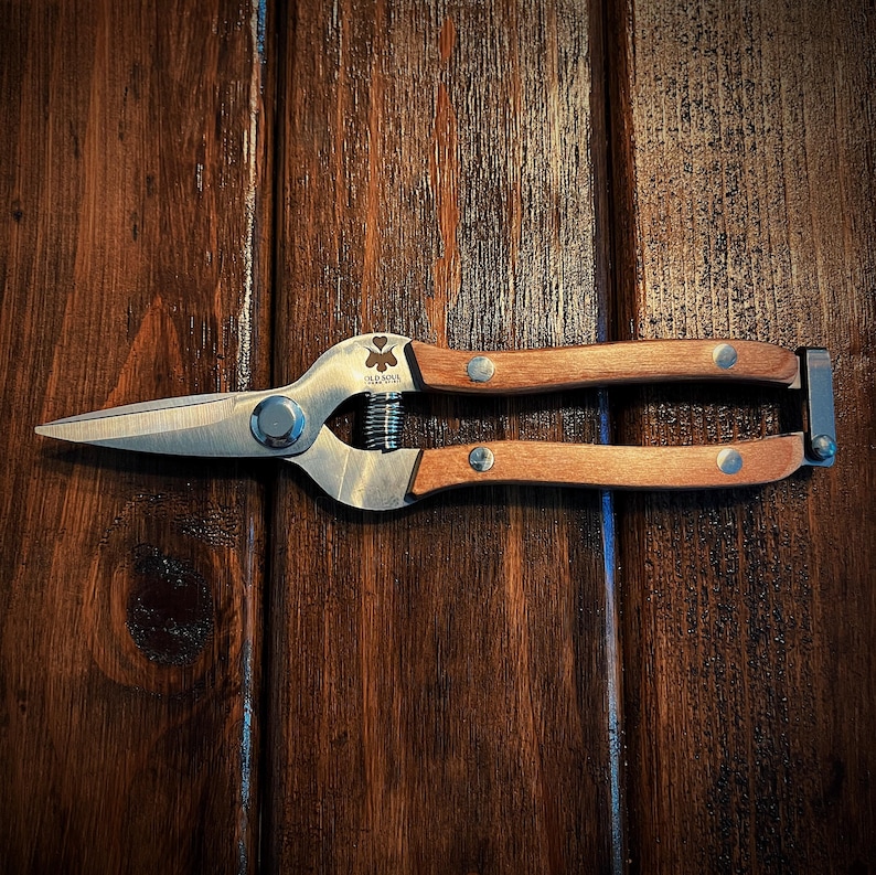 May include: A pair of stainless steel pruning shears with wooden handles. The handles are brown and have a silver metal accent. The shears have a clover logo with the word "ALADDIN" on them.