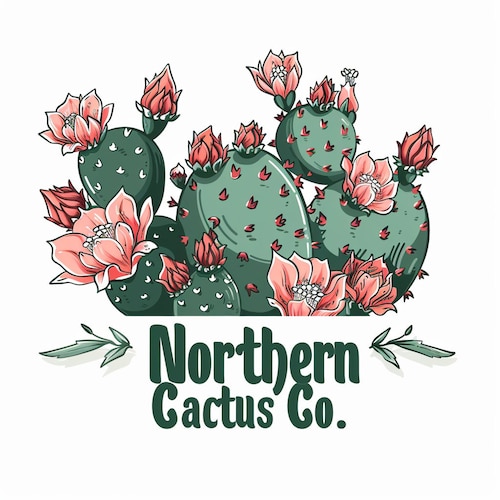 NorthernCactusCo - Etsy