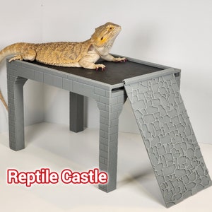 May include: A gray reptile castle with a ramp and a platform. A bearded dragon is on the platform. The ramp has a stone-like texture.