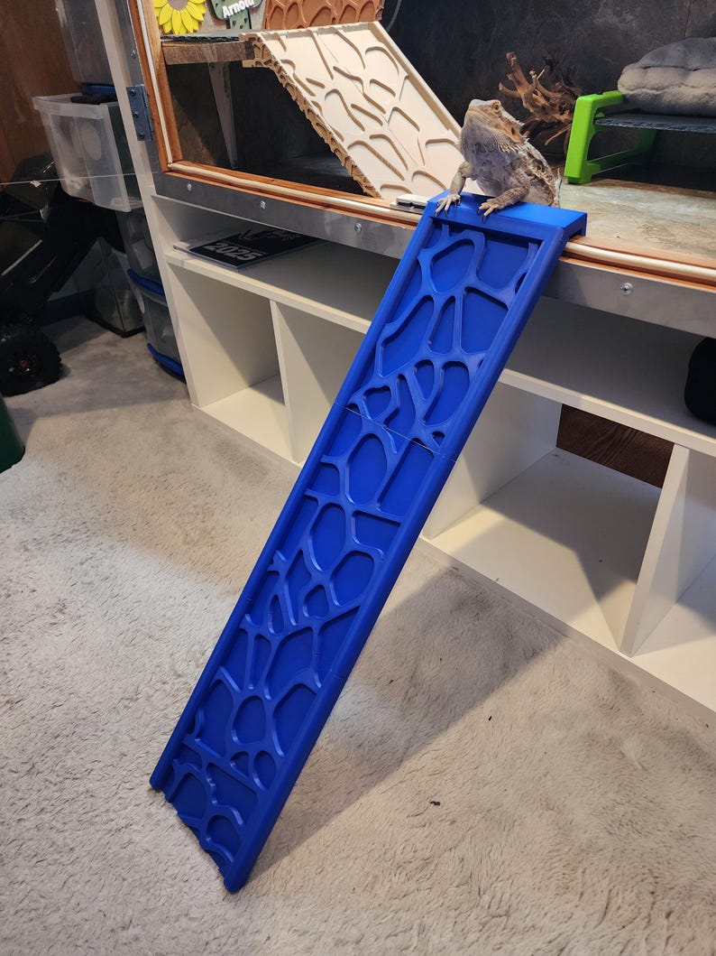 Fully Custom Bearded Dragon Access Ramp. XXL - Etsy