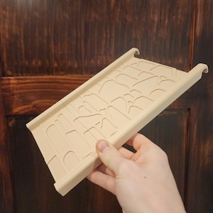 bearded dragon Large ramp with hooks