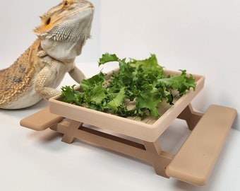 Picnic Table Dish for Bearded dragons | Greens dish for small reptile | Beardie decor X Exclusive color