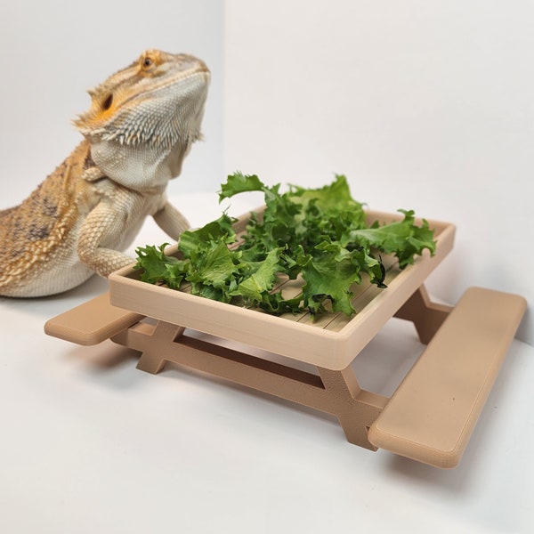 Picnic Table Dish for Bearded dragons | Greens dish for small reptile | Beardie decor X Exclusive color