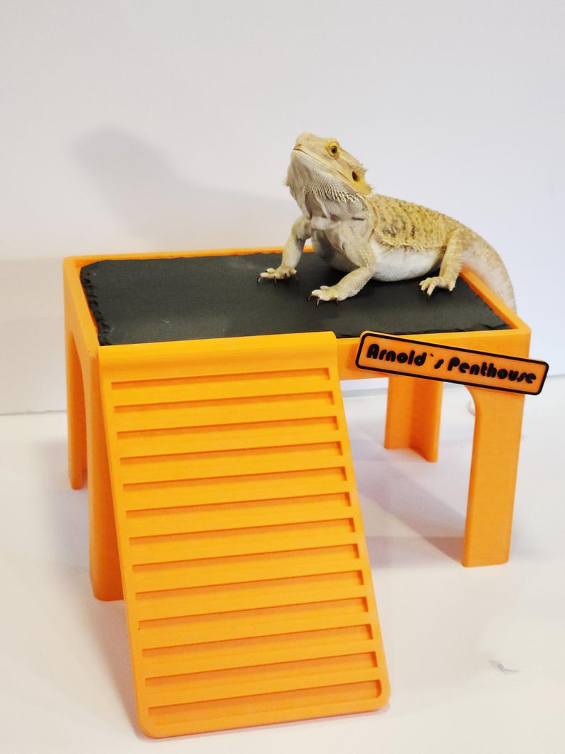 Bearded Dragon Heat & Hide | XL SLATE Topped Bearded Dragon Basking ...
