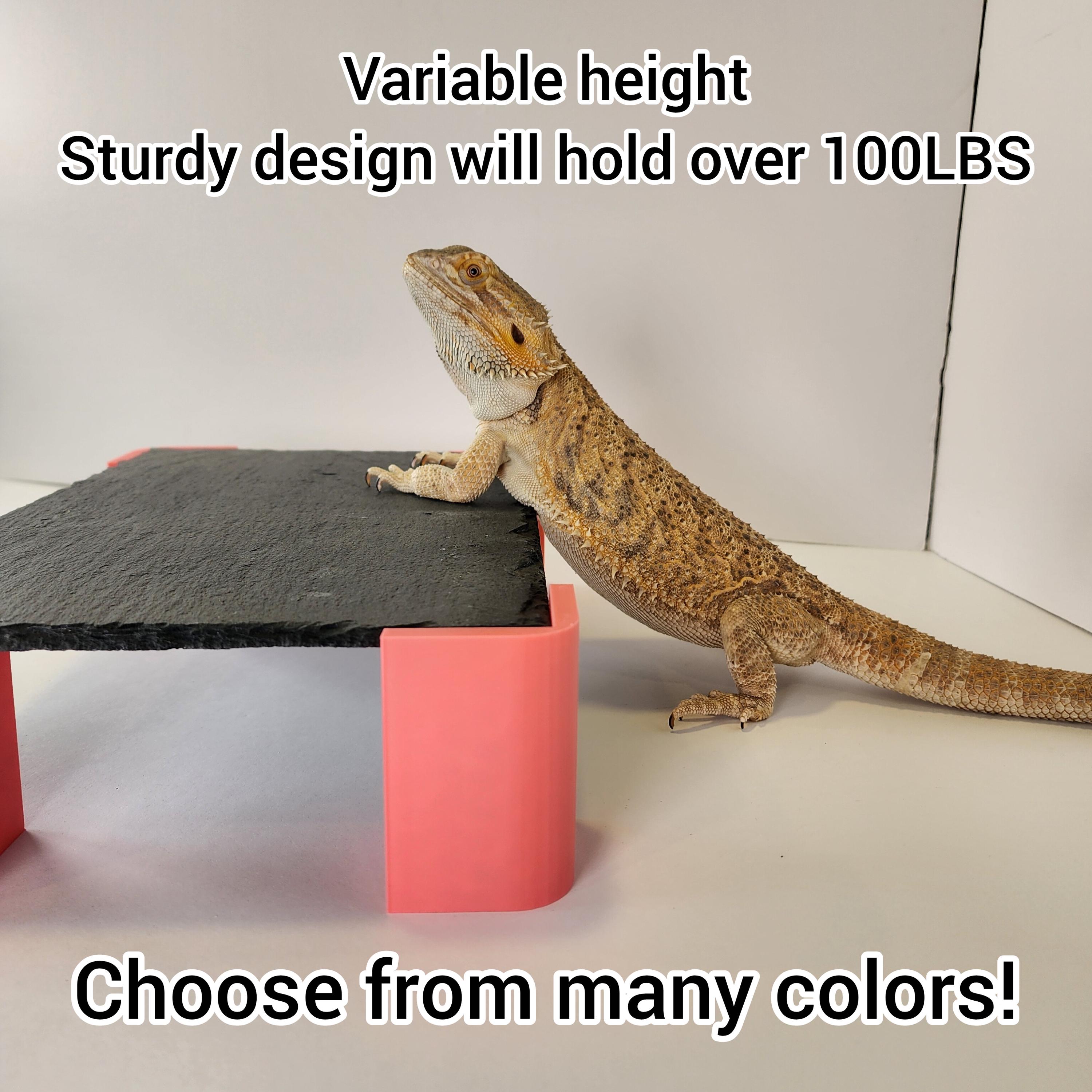 Slate Risers Reptile Slate Risers - Etsy