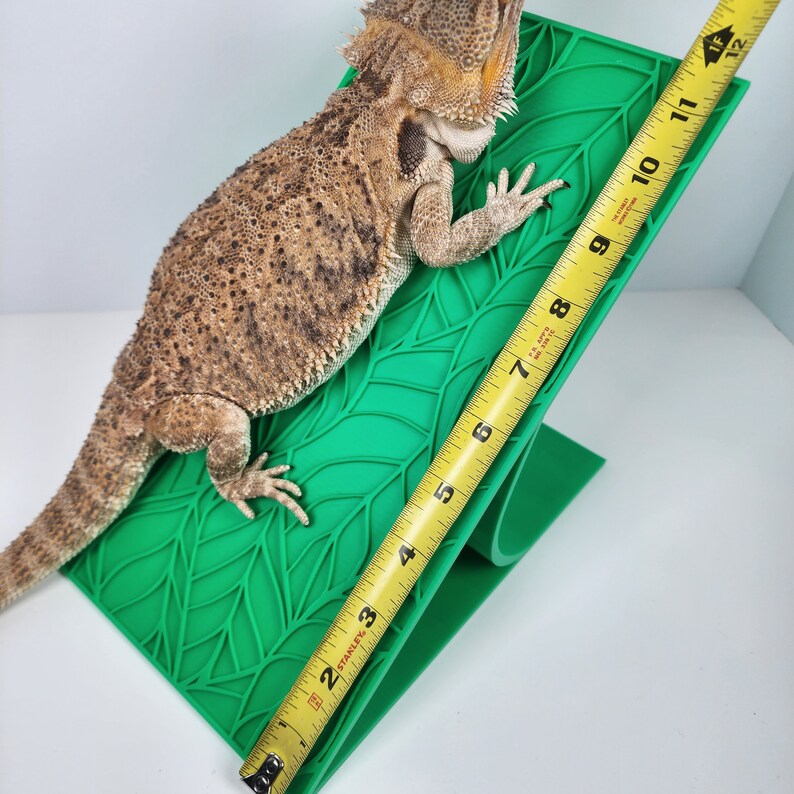 Bearded Dragon Basking Area | Large Grassy Basking Platform | Reptile ...