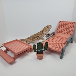 Bearded Dragon Sahara Desert Kit | Beardie lounge chair, picnic table dish, and personalized cactus sign stand | Beardie Cage Starter Pack