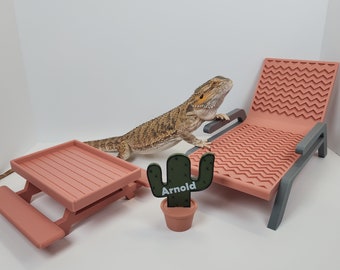 Bearded cling Dragon Furniture