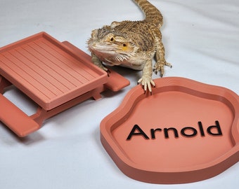 Bearded Dragon Picnic Table & Personalized Food Water Dish: Cage Starter Set