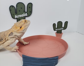 Bearded Dragon Desert Bath and Cactus Sign Kit | Beardie Reptile accessories and decoration