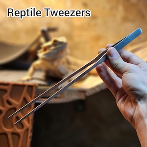 May include: Stainless steel reptile tweezers held in a hand, with the text "Reptile Tweezers" in the upper left corner. A bearded dragon is visible in the background. The tweezers are designed for handling reptiles.