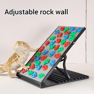 May include: An adjustable rock wall with colorful climbing holds in red, blue, and green. The wall is gray and black, and the text "Adjustable rock wall" is at the top. A bearded dragon is next to the wall.