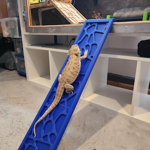 May include: A blue plastic reptile ramp with a textured design. A tan and brown bearded dragon is climbing the ramp. The ramp is angled against a white shelf unit, providing access to a reptile enclosure.