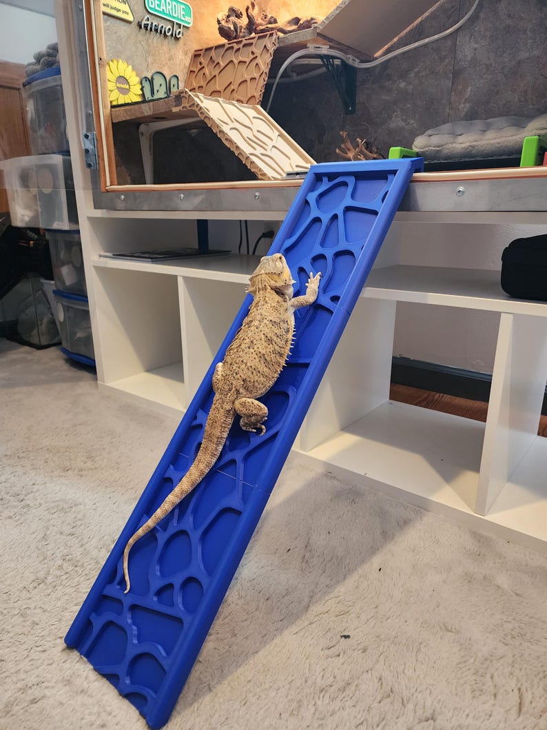 Fully Custom Bearded Dragon Access Ramp. XXL - Etsy
