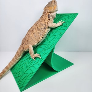 Bearded Dragon Basking Area | Large Grassy Basking Platform | Reptile decoration
