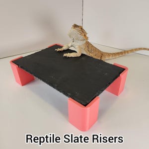 May include: A black slate reptile riser with pink supports. The rectangular platform is elevated by four pink corner supports. A bearded dragon lizard is resting on the platform. The text "Reptile Slate Risers" is at the bottom of the image.