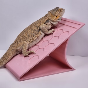 Bearded Dragon Basking Platform | Hexagonal Hideout/Basking Platform | Reptile accessories