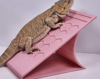 May include: A pink reptile ramp with a textured surface and a bearded dragon lizard climbing on it.