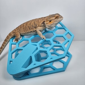 Bearded Dragon Basking Area | Hexagonal Basking Platform | Reptile decoration