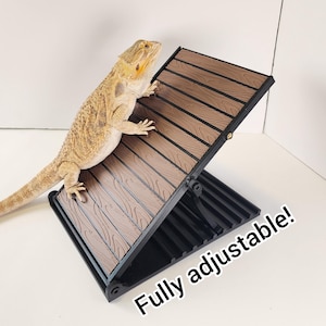 May include: A bearded dragon lizard climbs a brown and black adjustable reptile ramp. The ramp has a wood-grain texture and the text "Fully adjustable!" is visible. The reptile is light brown and tan in color.