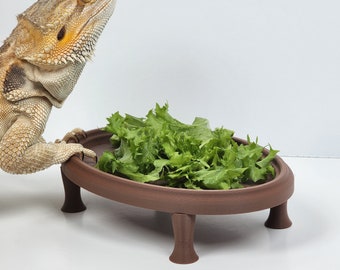 Bearded Dragon Oval Coffee Table Greens Dish | Reptile decoration | Beardie accessories