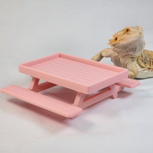 Picnic Table Dish for Bearded dragons | Greens dish for small reptile | Beardie decor