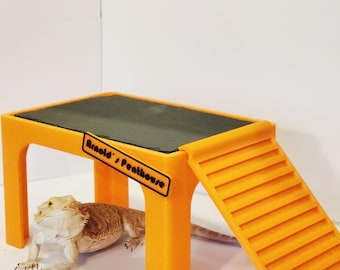 Bearded Dragon Heat & Hide | XL SLATE Topped Bearded Dragon Basking Area